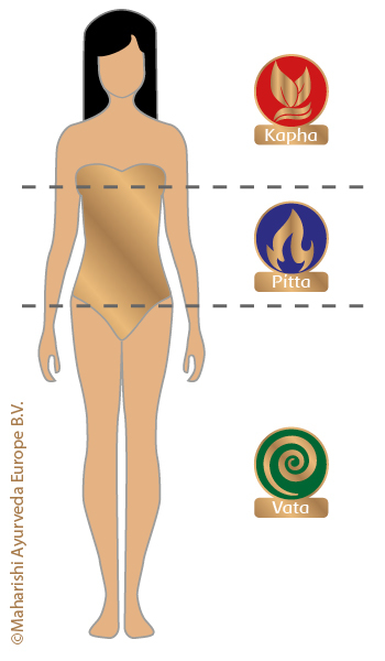 Verteilung von Vata, Pitta & Kapha im Körper