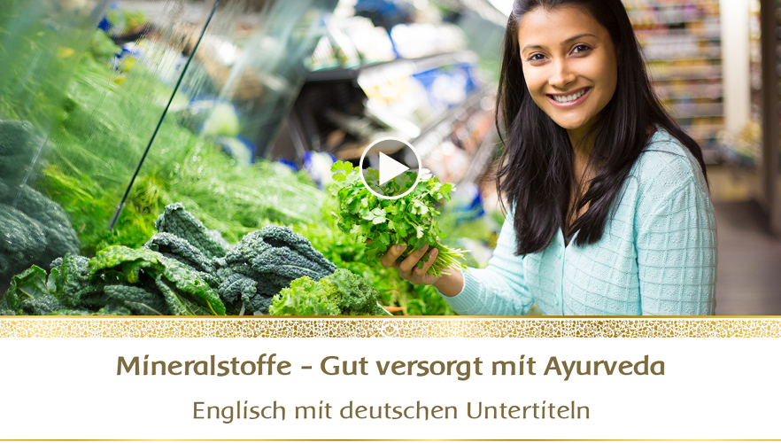 YouTube-Webinar: Mineralstoffe - Gut versorgt mit Ayurveda